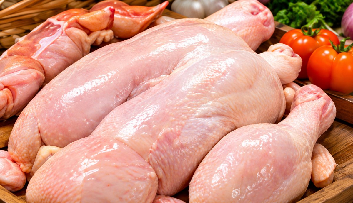 Ayam Segar